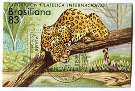 Block "Jaguar". Nicaragua