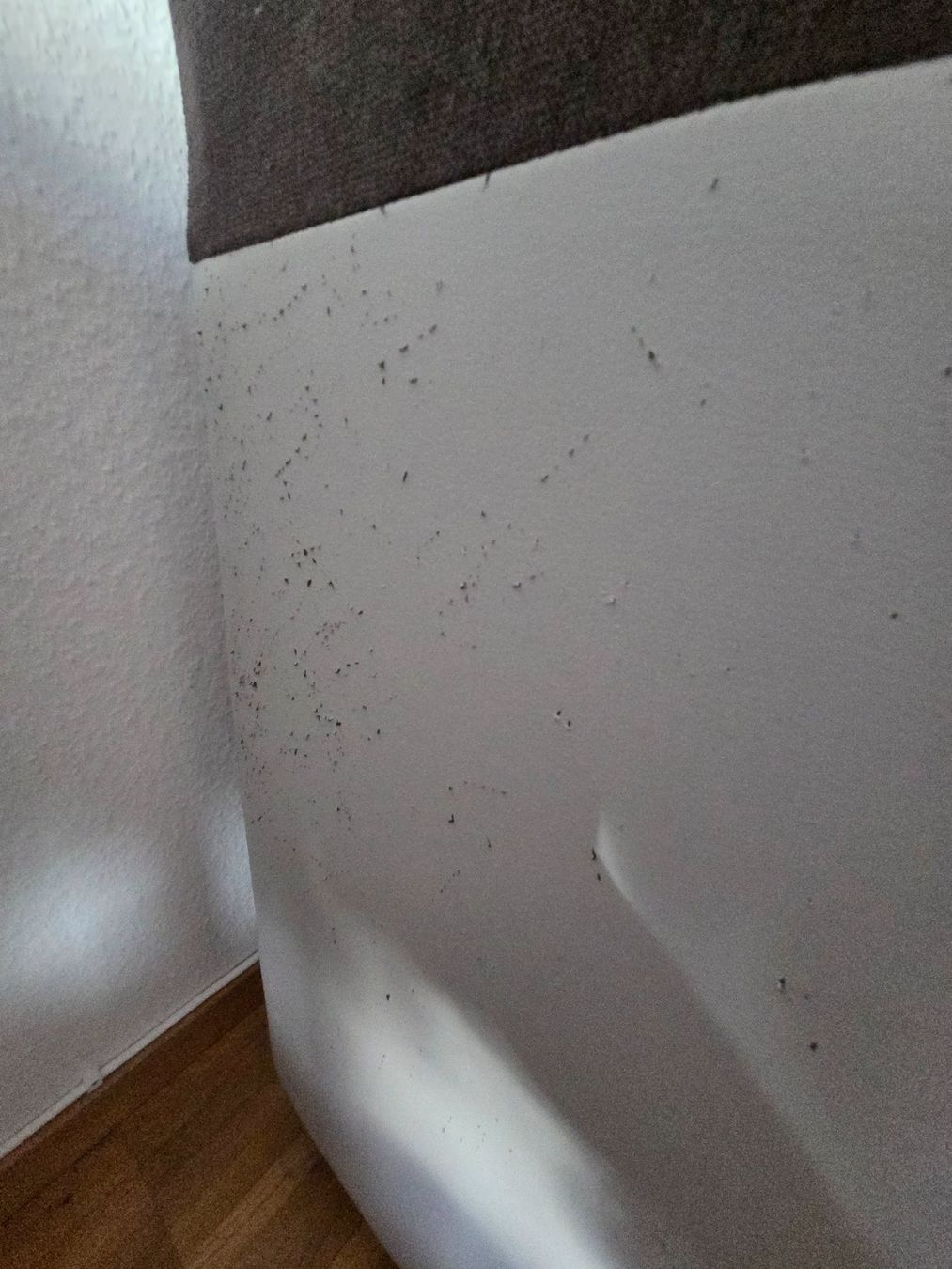 Conforama Divani: Ecksofa – Usato da Zürich venduto da Sandrine_9 6