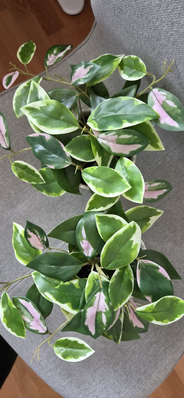 Plantes & graines: 2 Ikea Kunstplanzen mit Topf – Neuf avec emballage d'origine à Zürich par c.line89 1