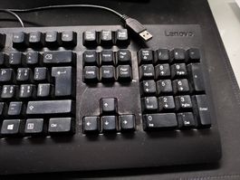 Tastatur LENOVO