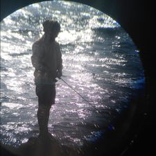 Profile image of johnnytimo01
