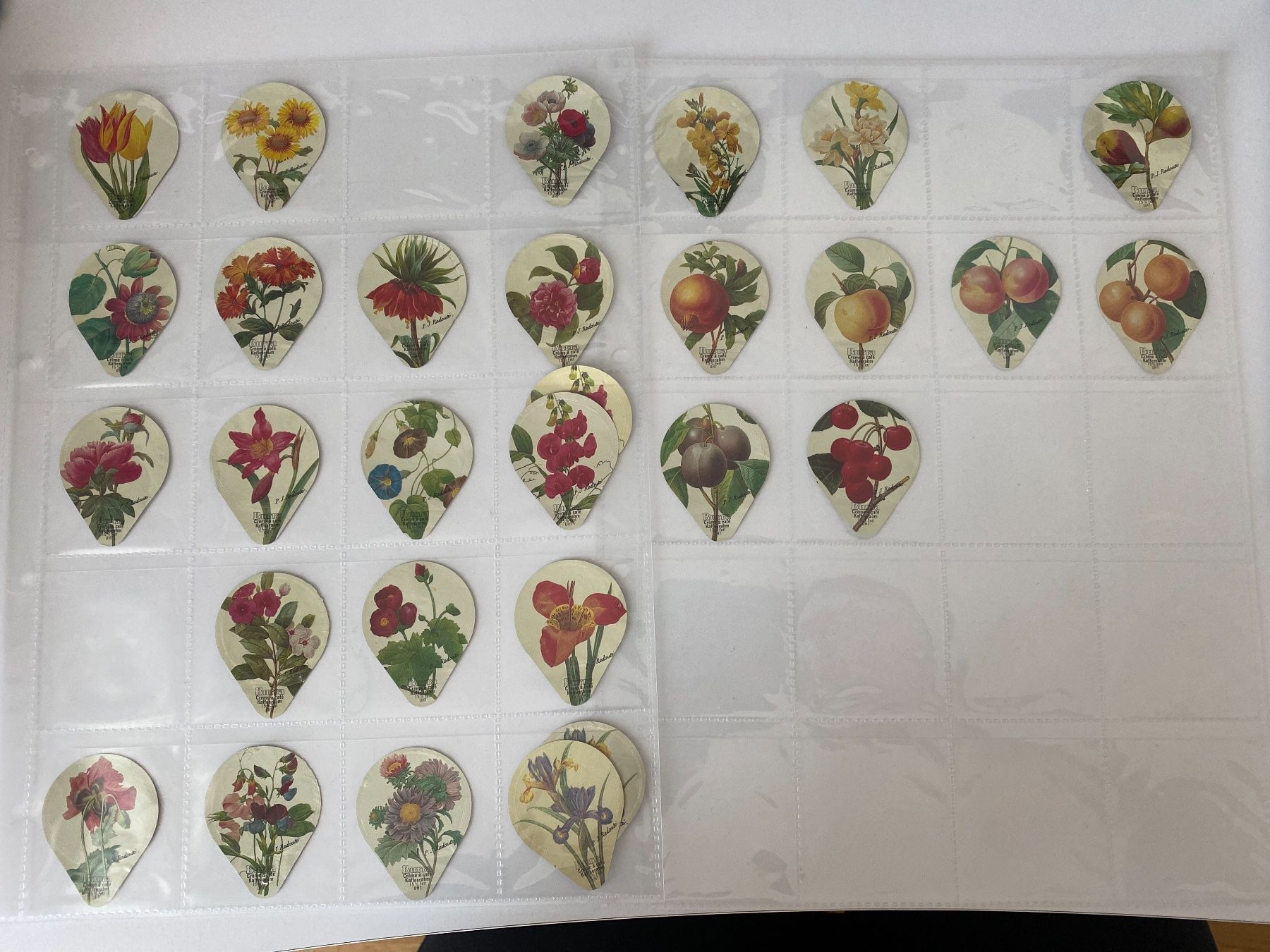 Coperchi dei cremini per caffè: KRD 412 BLUMEN UND FRÜCHTE – Usato da Glattbrugg venduto da riseca