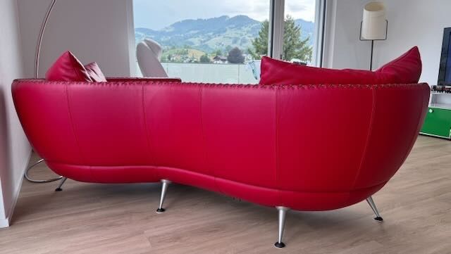 De Sede Divani: De Sede Design Sofa "Rot" – Usato da Altstätten SG venduto da Bulatothebar 3