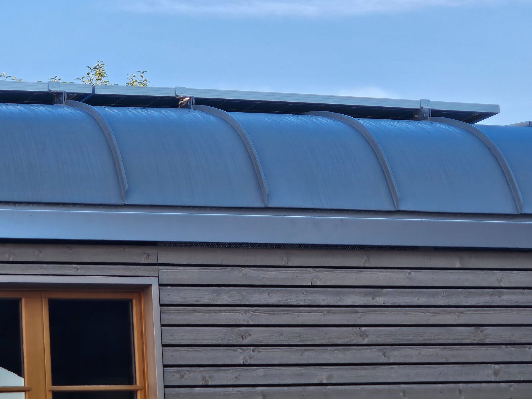 Mobilhome: Gartenhaus, Zirkuswagen, Tiny House, Camping – Nuovo (secondo la descrizione) da Reitnau venduto da Discus6 3