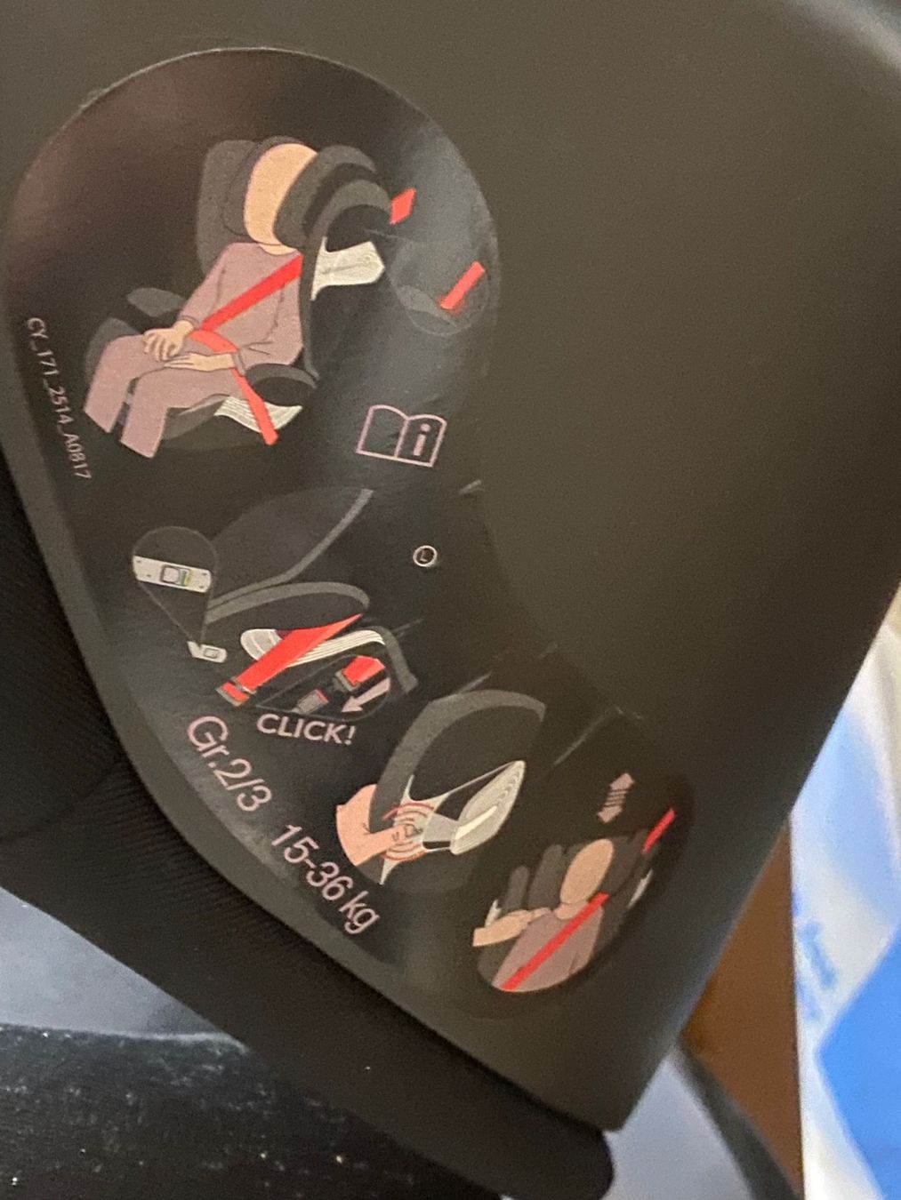 Cybex Seggiolini per auto: Cybex Solution X-Fix Kindersitz, Top Zustand, Schwarz! – Usato da Küssnacht venduto da Flowerlady 1