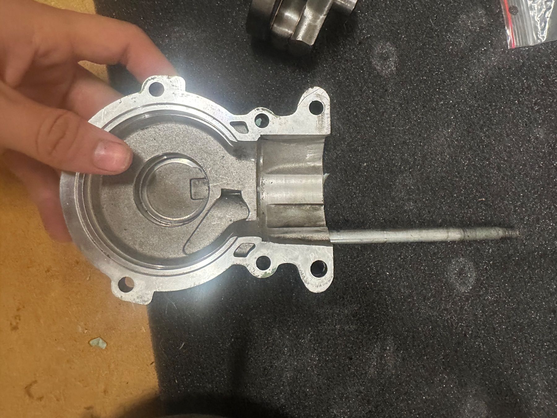 Polini Motoren: ciao speedengine – Gebraucht aus Emmenbrücke von swizly01 1