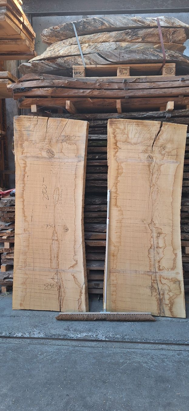 Articoli in legno: 2x Eichenbretter XL – Nuovo (secondo la descrizione) da Kloten venduto da WOODStudio