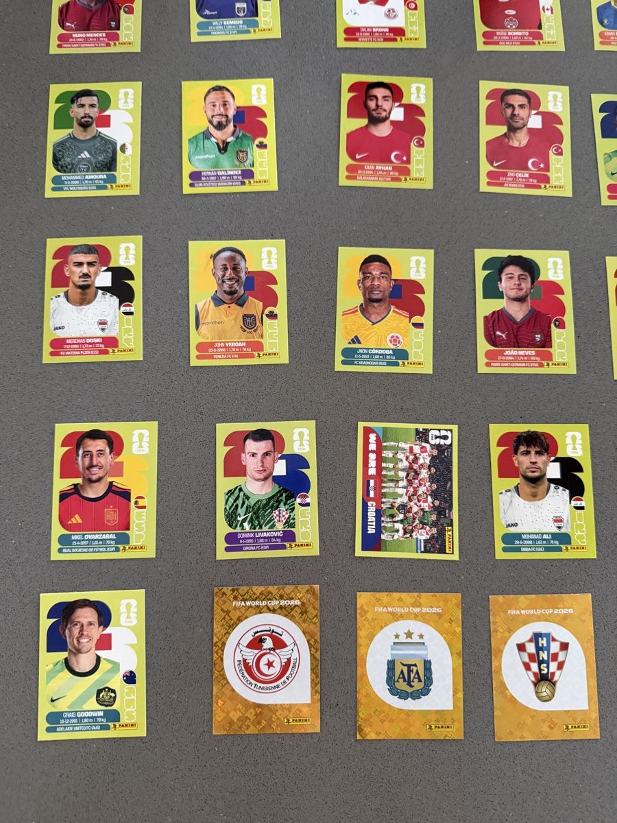 Panini Carte collezionabili: 53 Panini Sticker (6 Gold) – Nuovo (secondo la descrizione) da Wallisellen venduto da MoPo00 1