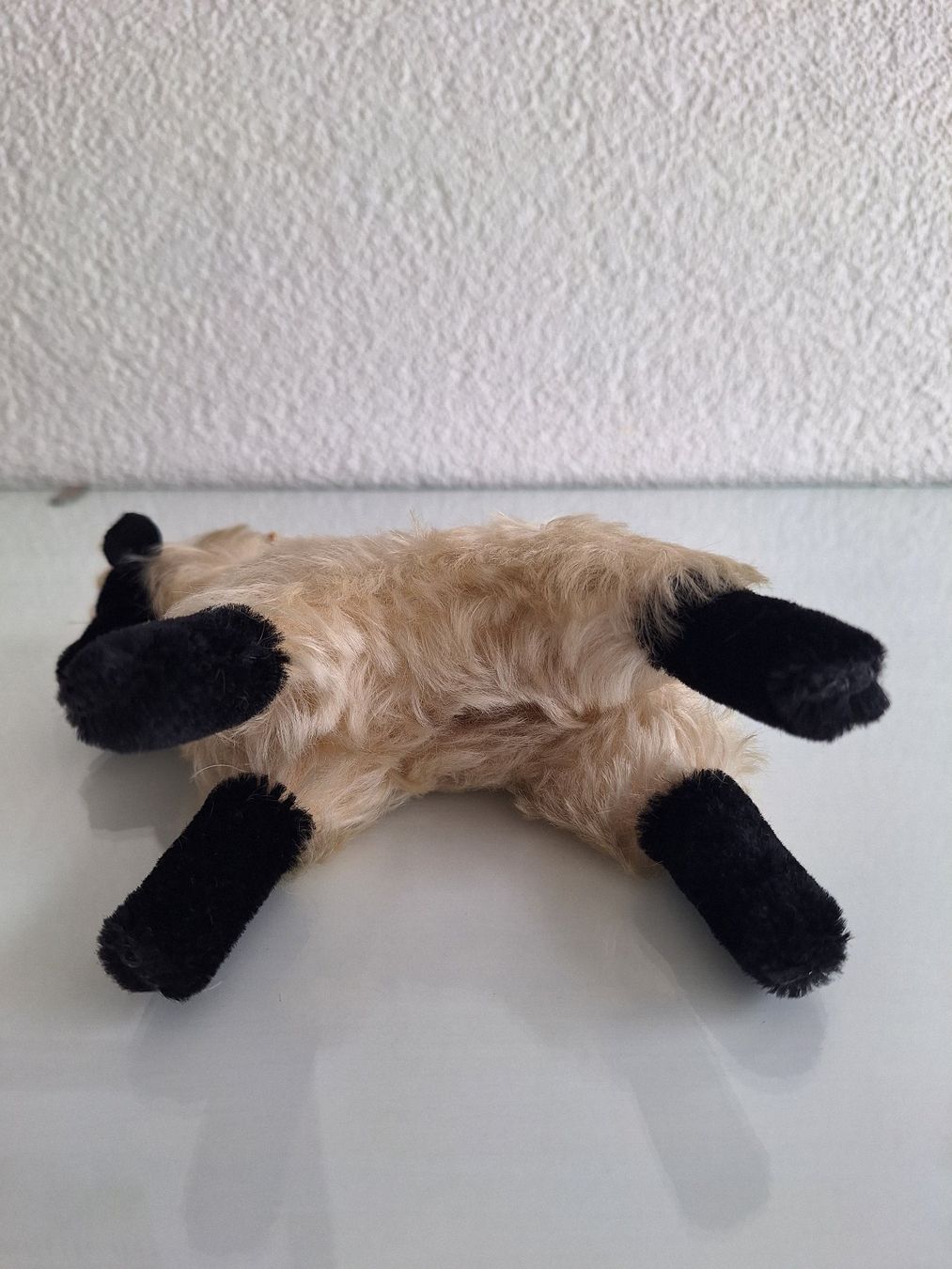 Steiff Giocattoli: Steiff Heideschaf Snucki – Usato da Sissach venduto da luvama 4
