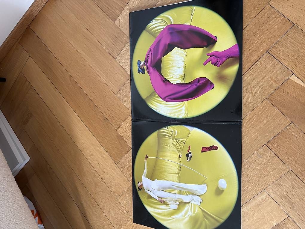 Schallplatten: Harry Styles Vinyl – Gebraucht aus Basel von batuhancocel 1