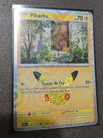 Pikachu n°17/30