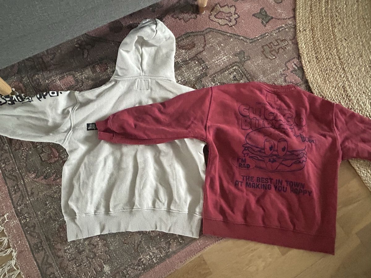 Zara Lotti & Set di vestiti: Zara Hoodies – Usato da Aarberg venduto da lep_qc92 1