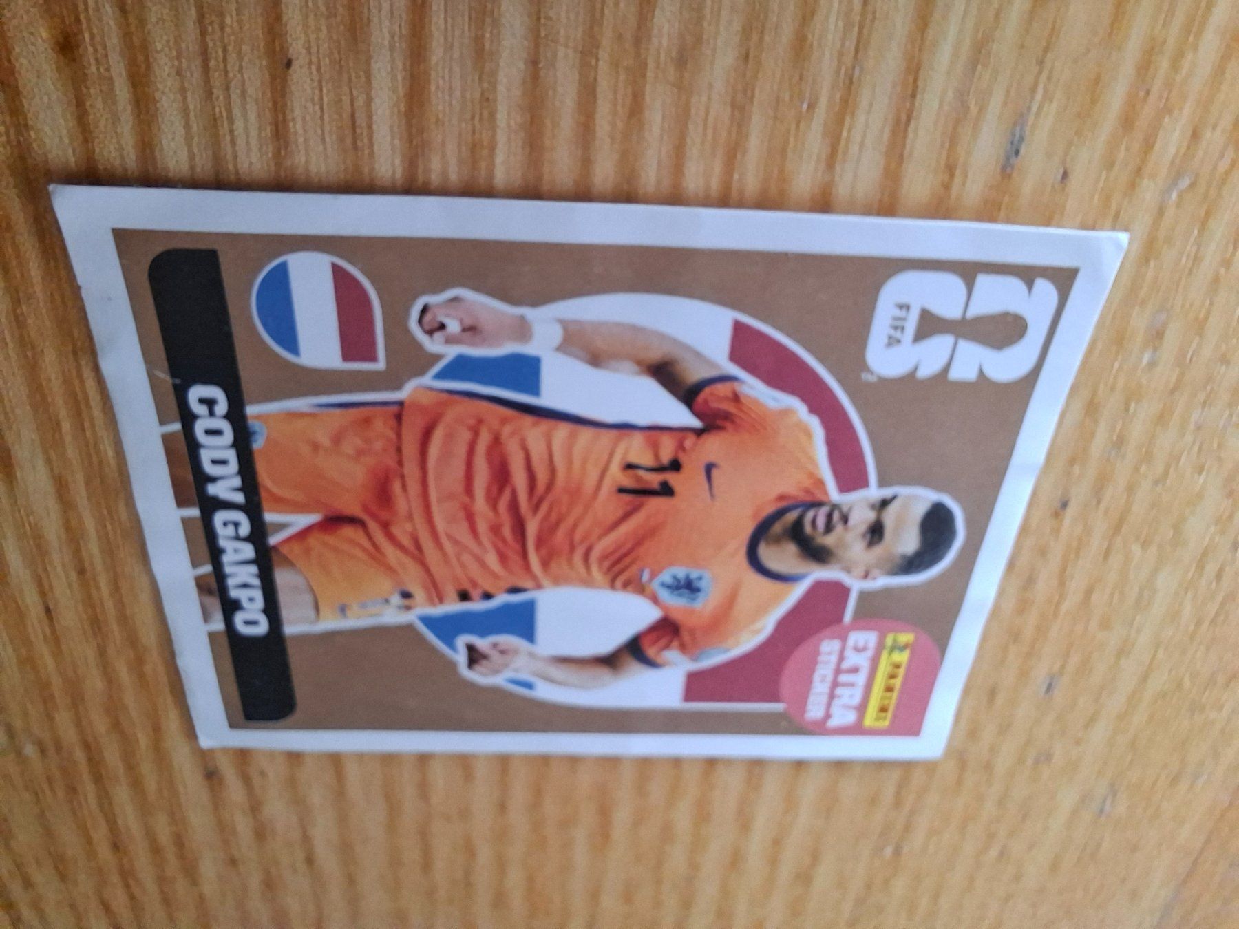 Panini Carte collezionabili: Panini WM 2026 Extra Sticker Cody Gapko – Nuovo (secondo la descrizione) da Winterthur venduto da Tobolog 2