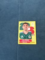 Panini Mex3