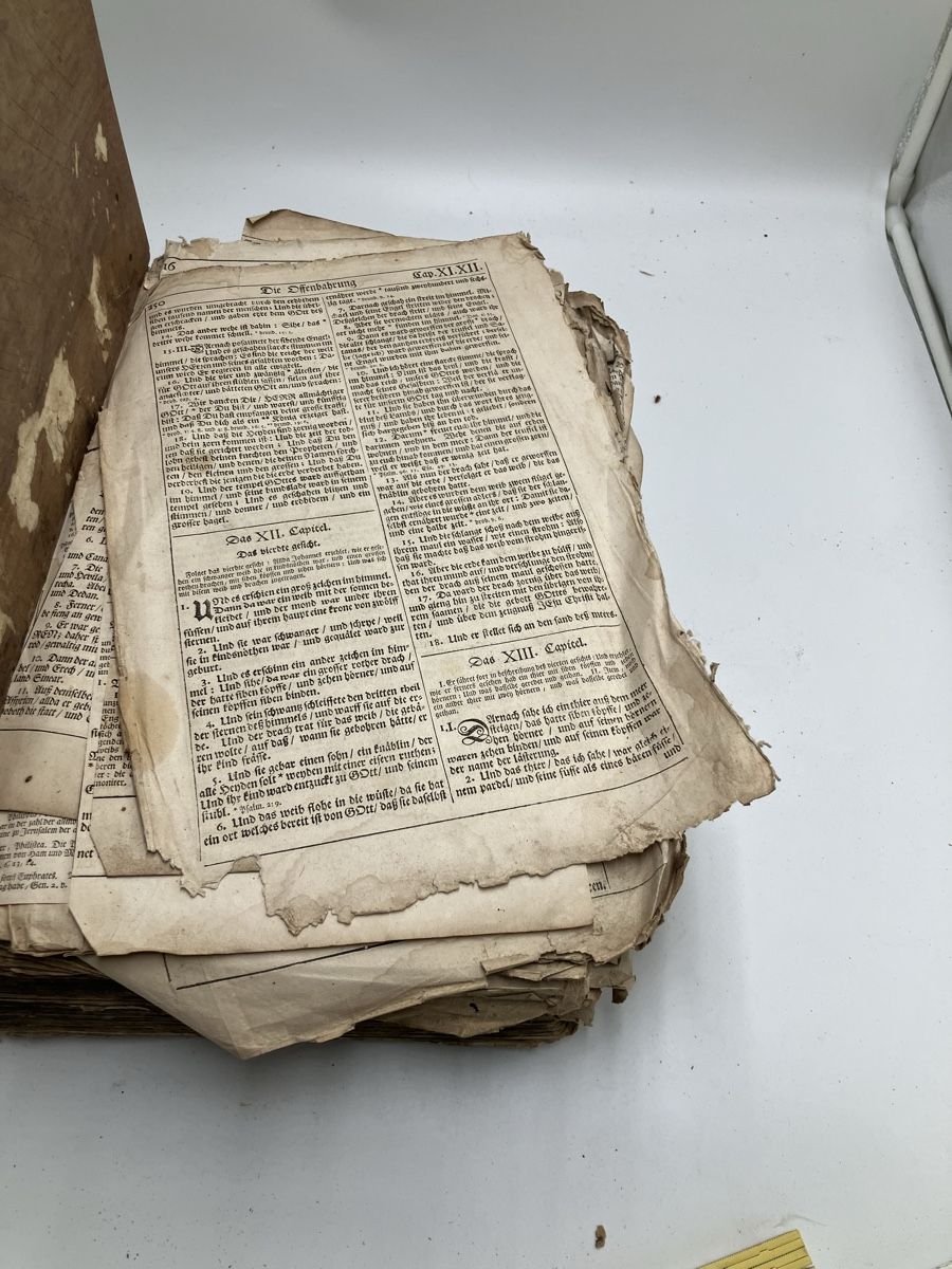 Libri: Antike Bibel – Usato da fribourg venduto da Retroverso 1