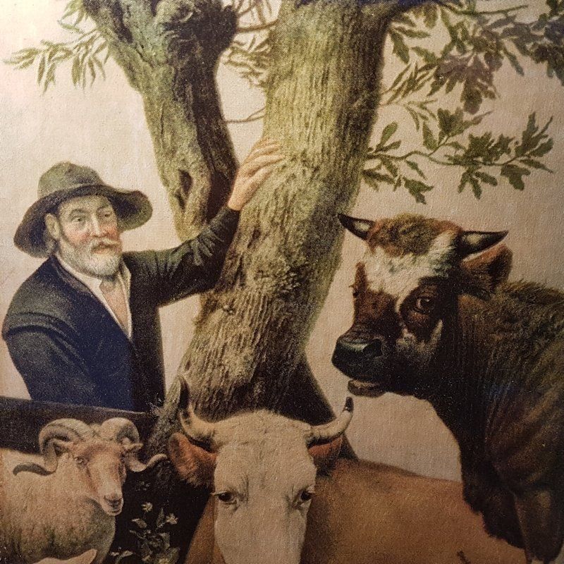 Foto & Immagini: Öldruck P. Potter Der junge Stier Antik – Usato da Kaltbrunn venduto da Condor2 3