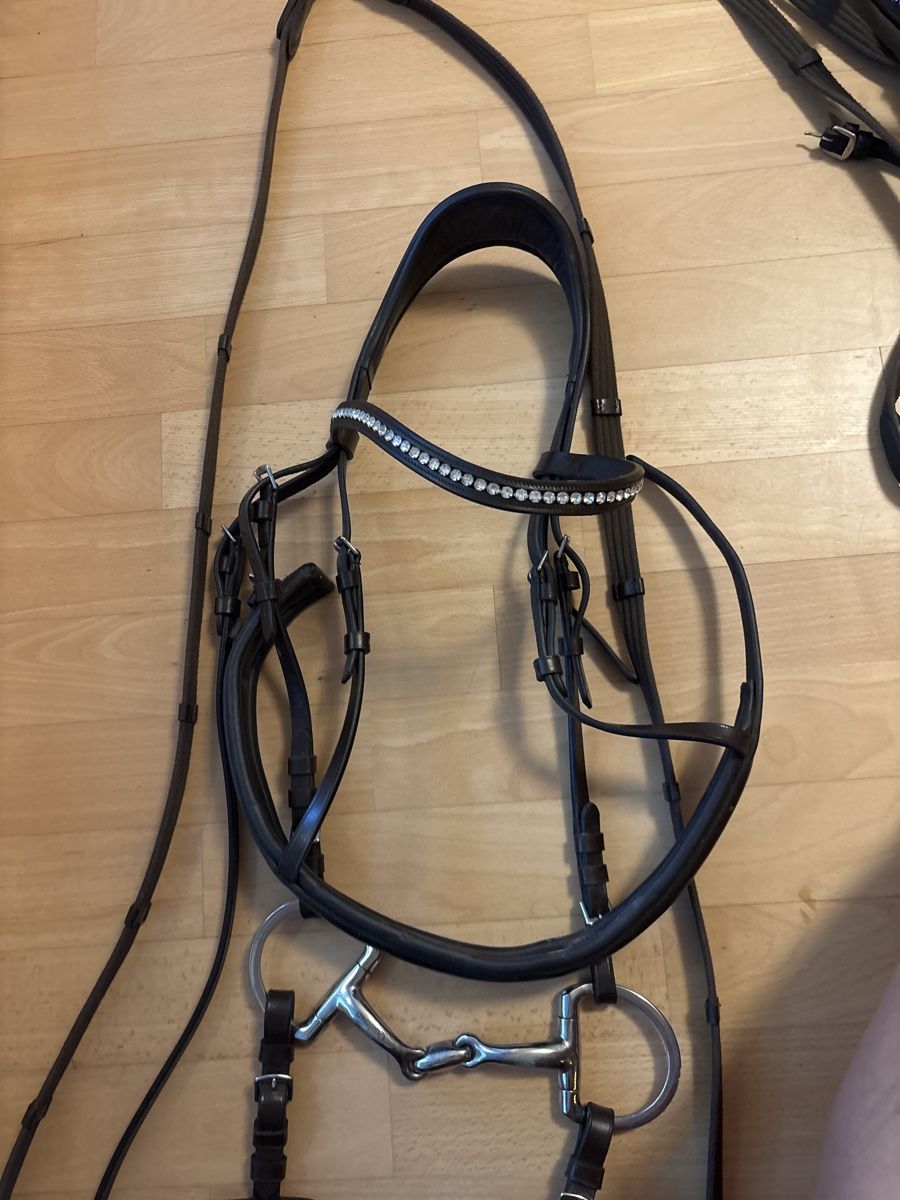 Felix Bühler Zaumzeug & Halfter: Felix Bühler Zaum Gently Anatomical Innovation – Gebraucht aus Schaan von sop_x66d