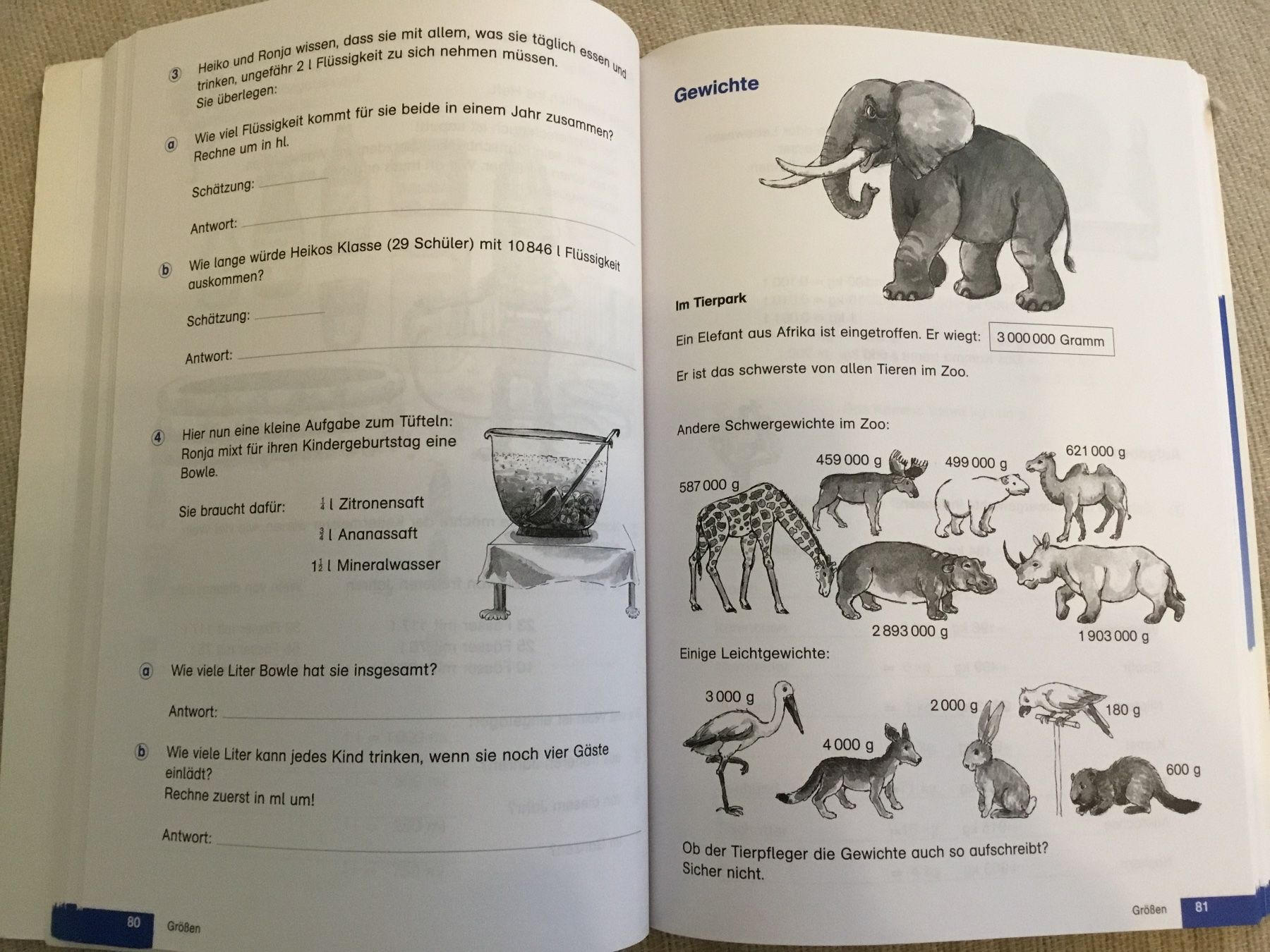 Libri: Lehrmittel Mathematik 4. Klasse – Nuovo (secondo la descrizione) da Diessenhofen venduto da quinto9 1