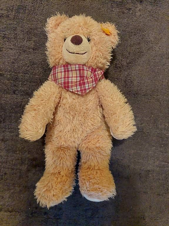 Jouets: Teddybär Steiff Original – D'occasion à Zofingen par Lottischilet