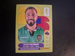 Panini WM 26 ECU 2
