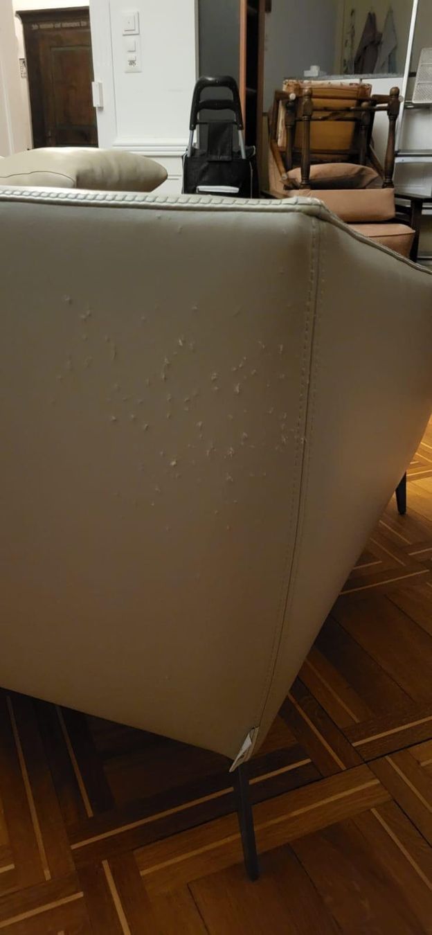 Divani: designer sofa alivar – Usato da Basel venduto da topthings 9
