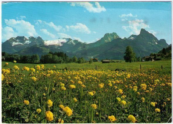 Ansichtskarten: Saanenmöser – Gebraucht aus Binningen von Mountainrider
