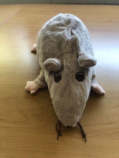 Ikea Spielzeuge: IKEA PELUCHE GOSIG RATTA NEUF – Neu und originalverpackt aus Bernex von eunicefitz