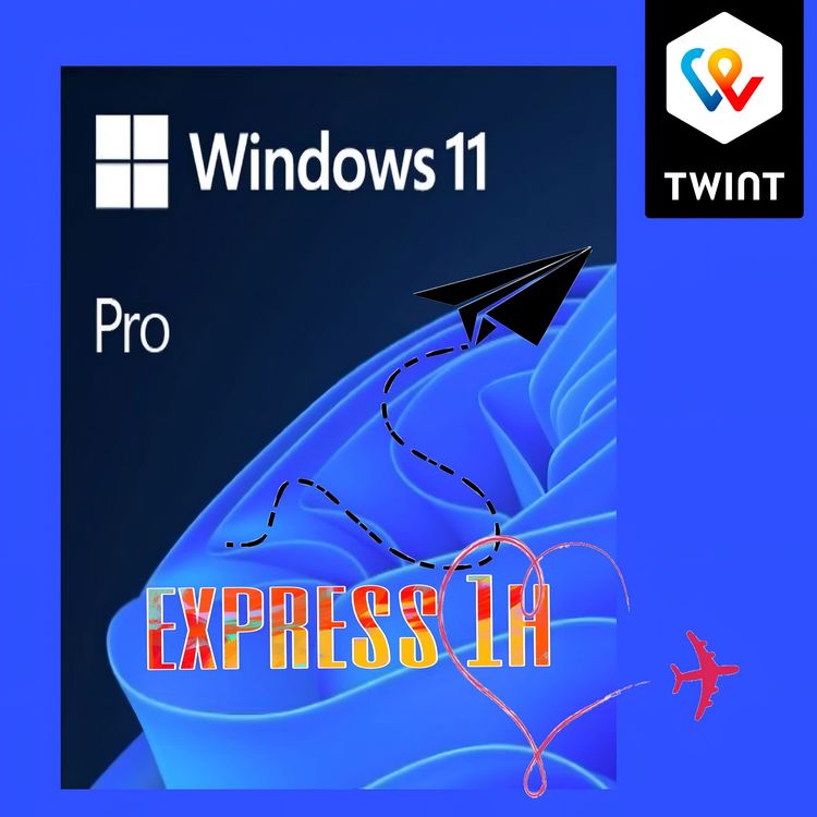 Microsoft Windows 11 Pro 32&64 Bit Versand 1h (Gebraucht) in ...