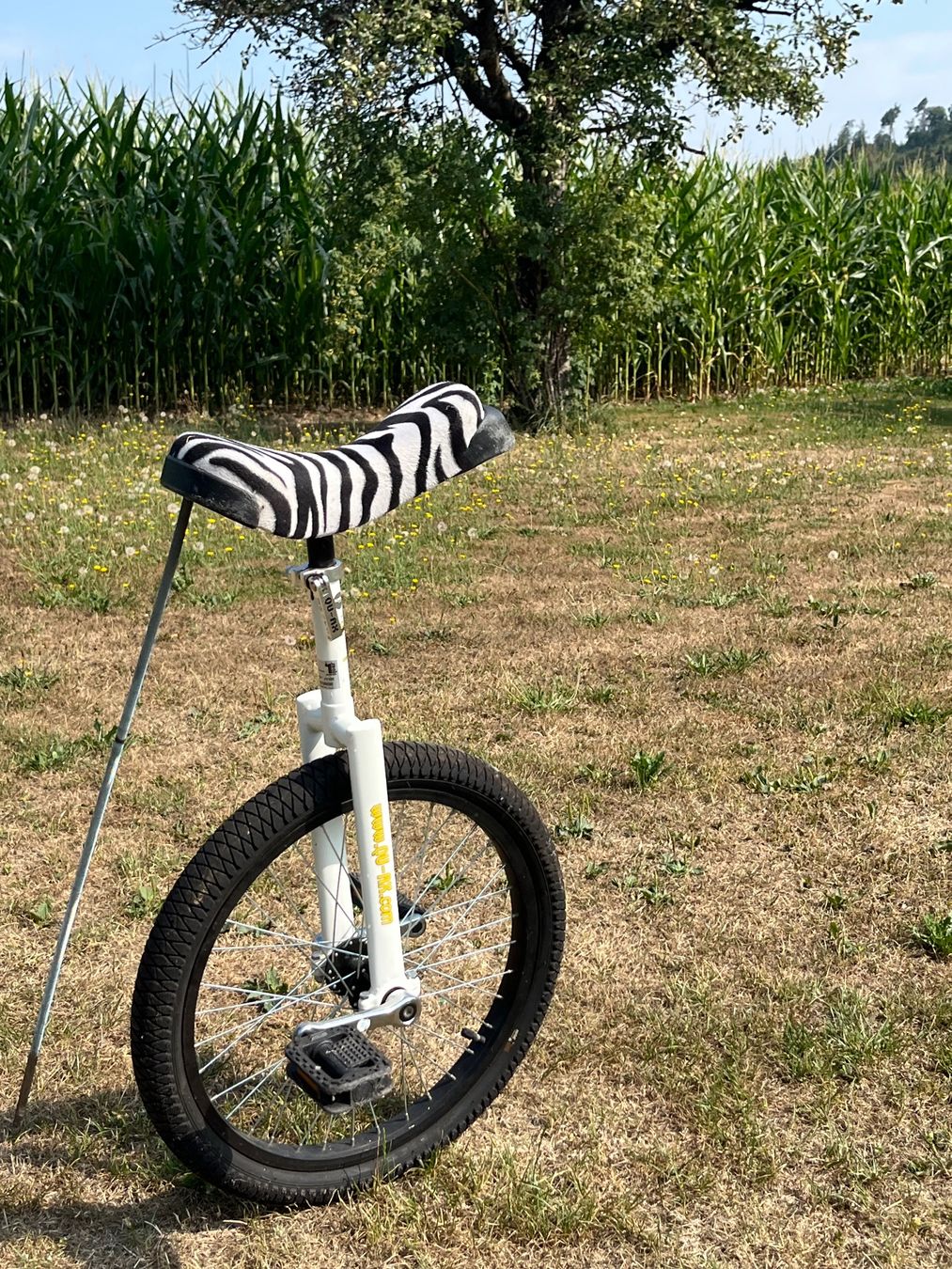 Qu-Ax Velos: Qu-AX Luxus Einrad – Gebraucht aus Allmendingen b. BE von juair 3