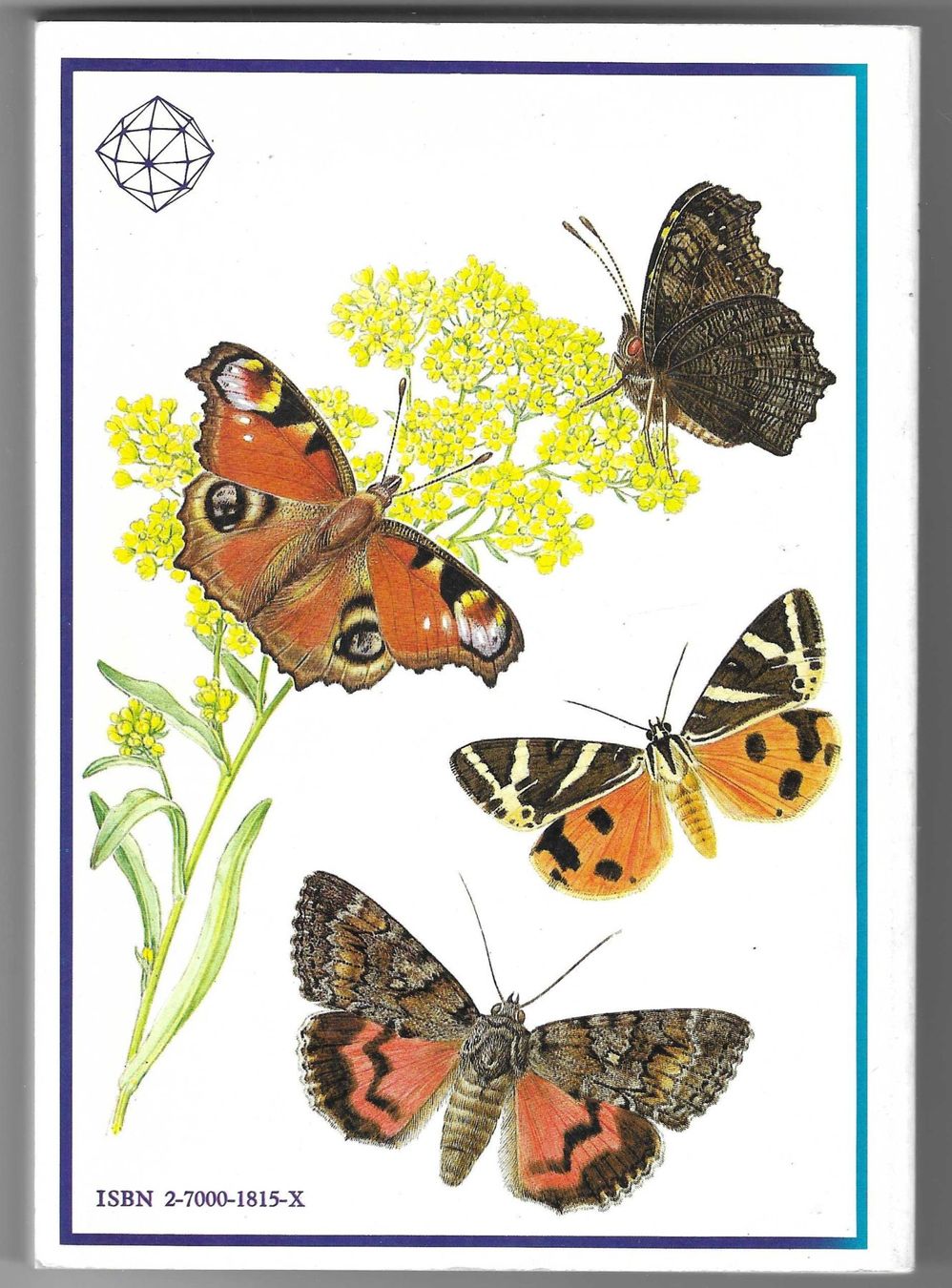 Libri: PAPILLONS – Usato da Bex venduto da Giorgiob 1