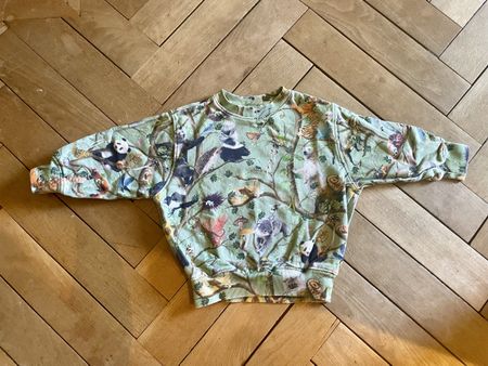 Kinder Pullover Molo Grösse 104 Tiermotiv Zustand gut