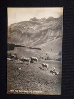 SCHWAGALP MIT SANTISKETTE -MIT  KUHE