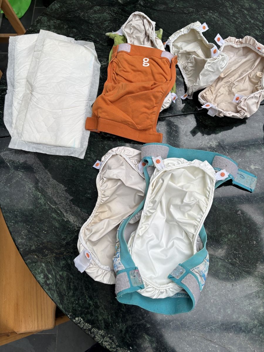 Windeleimer & Windeln: Stoffwindelset gDiapers – Gebraucht aus St. Gallen von sluethi 1