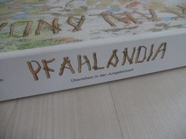 Pfahlandia Überleben in der Jungsteinzeit Pfahlbauer 1990