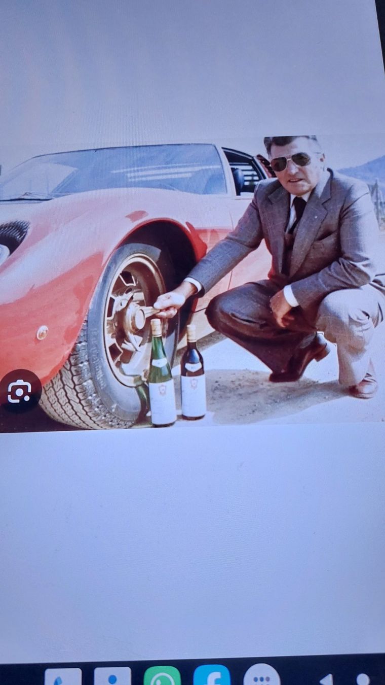 Vino: Lamborghini Wein – Nuovo (secondo la descrizione) da Mattwil venduto da trihome 3