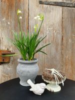 Etagere Dekoration weiss Shabby Chic Landhaus