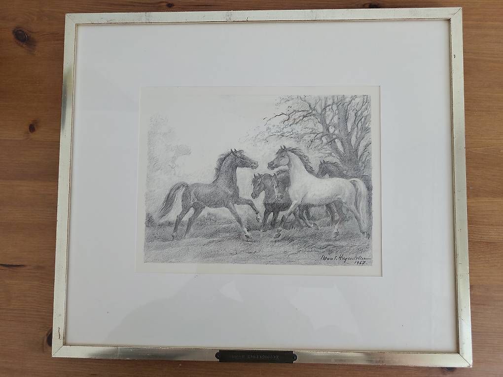 Dipinti: Bild von Iwan E. Hugentobler – Usato da Wohlen b. Bern venduto da mattia.marchetti