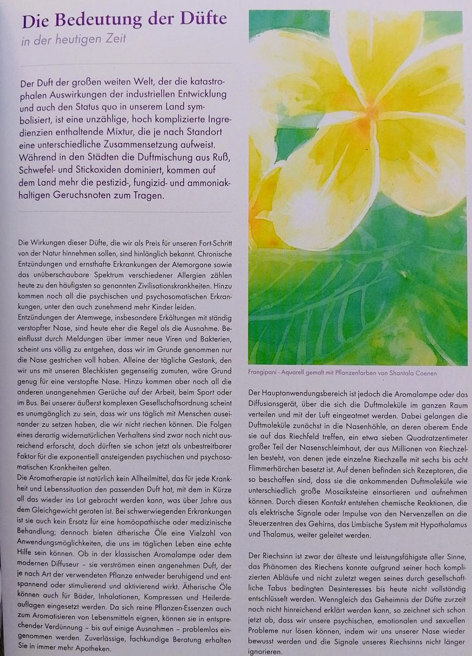 Libri: Lexikon der Düfte: Alex Meyer -ätherische Öle Aromatherapie – Usato da Zürich venduto da Flitzi2005 5