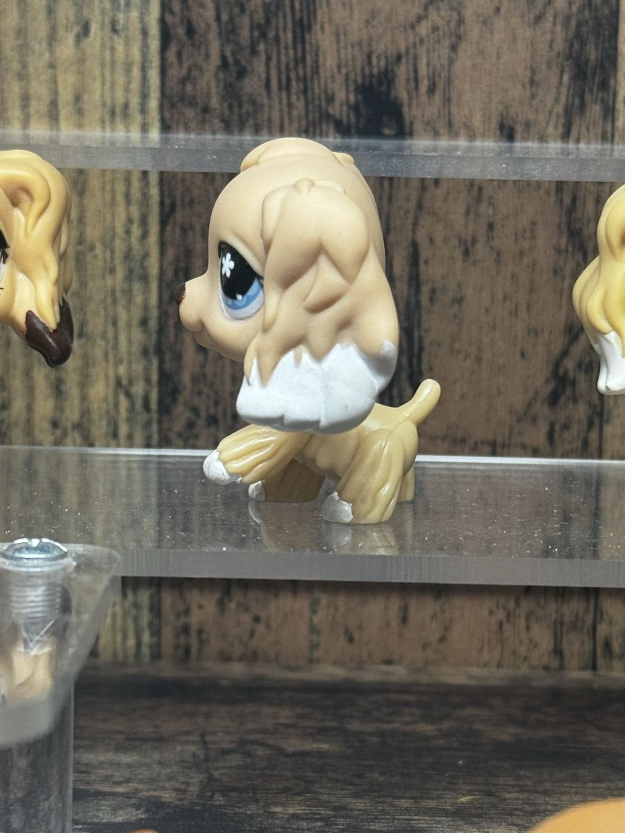 Hasbro Statuette: Littlest pet shop Cocker spaniel Australian exclusive – Usato da Luzern venduto da Maja.C 2