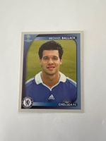 Panini UEFA Champions League 2008-2009 - Nr. 239