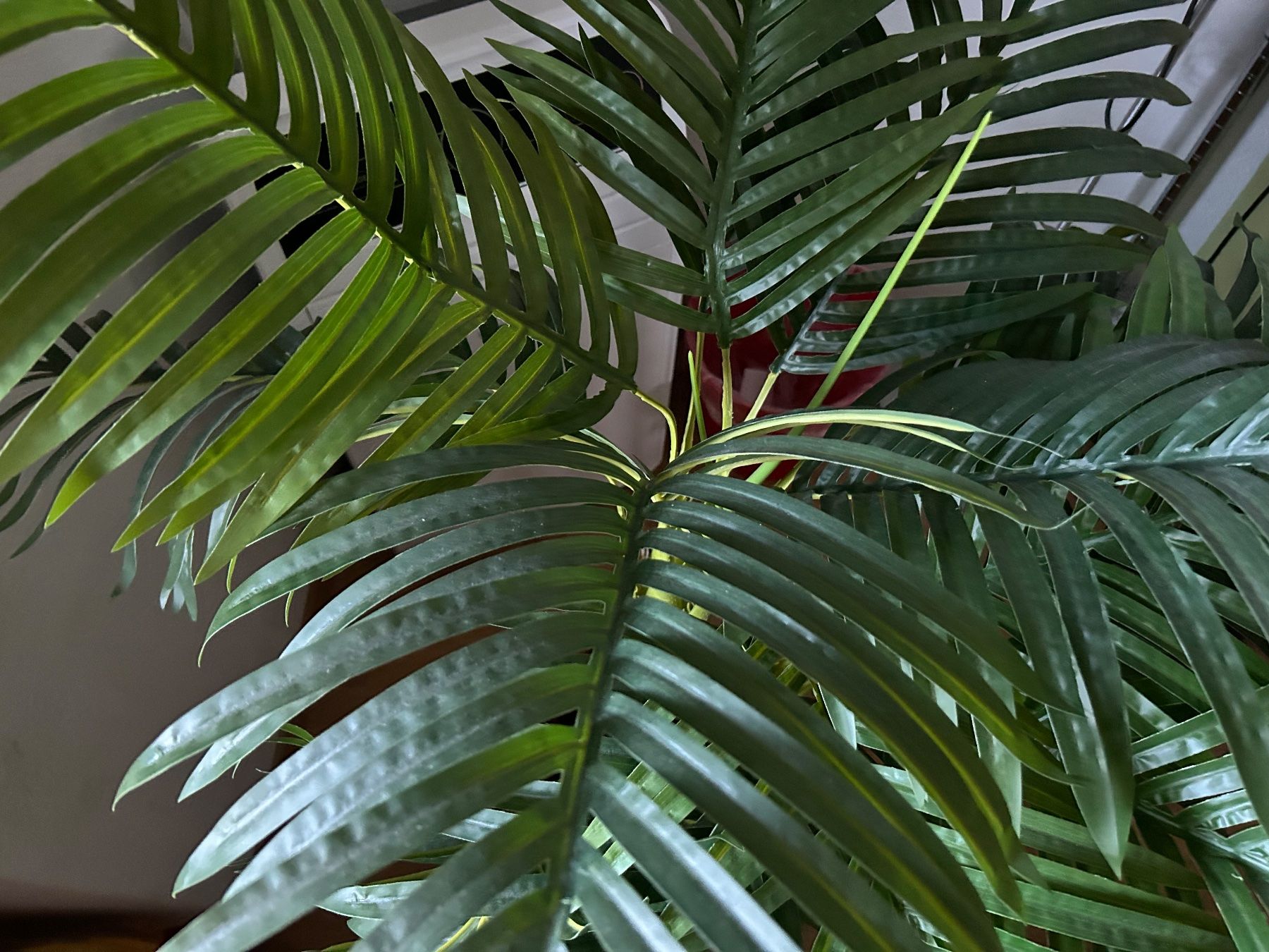 Toutes les décorations: Palme Kunstpflanze – Neuf (Voir description) à Schaffhausen par amwr 3