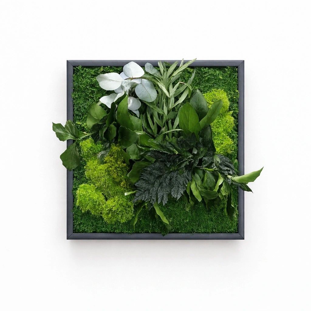 Alle Dekorationen: Tableau végétal Jungle – Neu (gemäss Beschreibung) aus Montreux von hev_mv5m