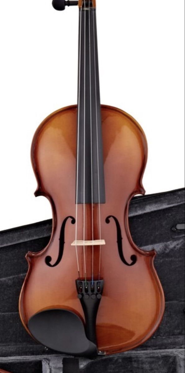 Strumenti musicali: Stagg VN-4/4 Full Size Violin Outfit – Solid Spruce & Maple  – Nuovo e nell'imballaggio originale da Zürich venduto da ann_m2vs 1