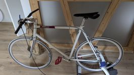 Peacmaker von Fixie inc. 2009