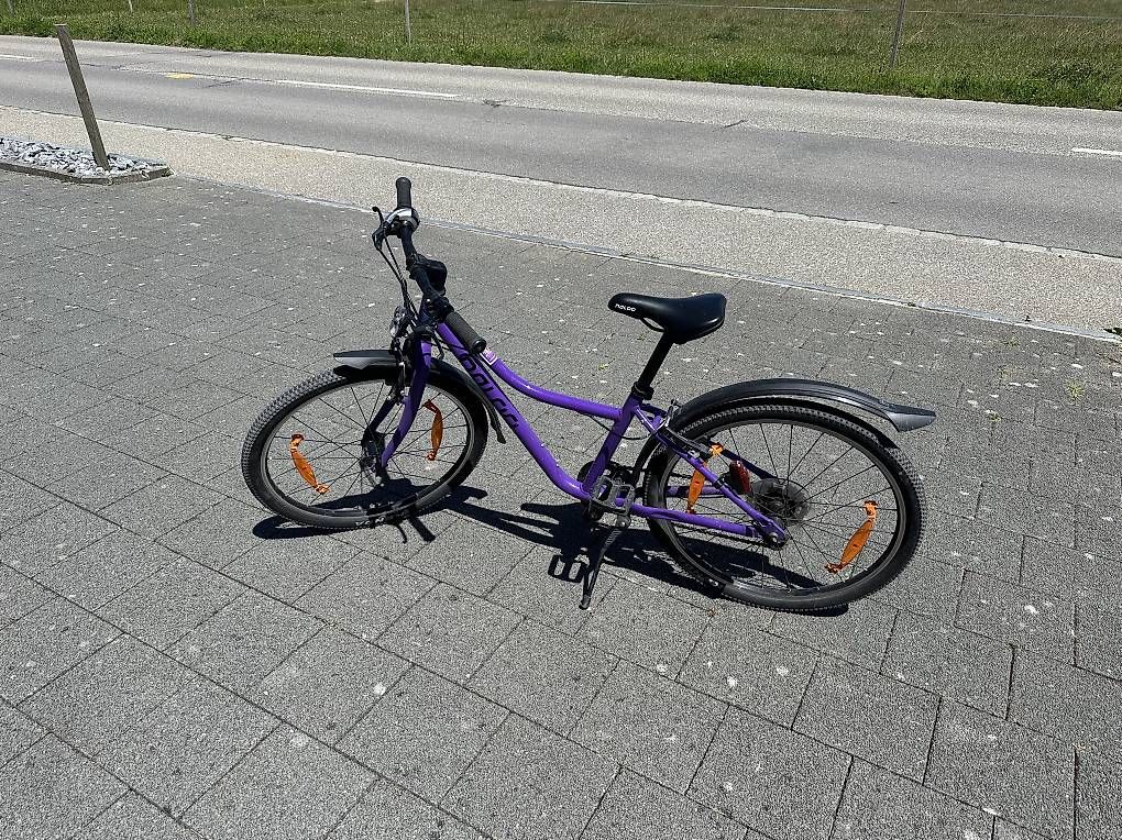 Velos: Kindervelo NALOO 24 Zoll - Chameleon – Gebraucht aus Brügglen von Mim1