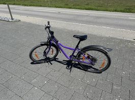 Kindervelo NALOO 24 Zoll - Chameleon