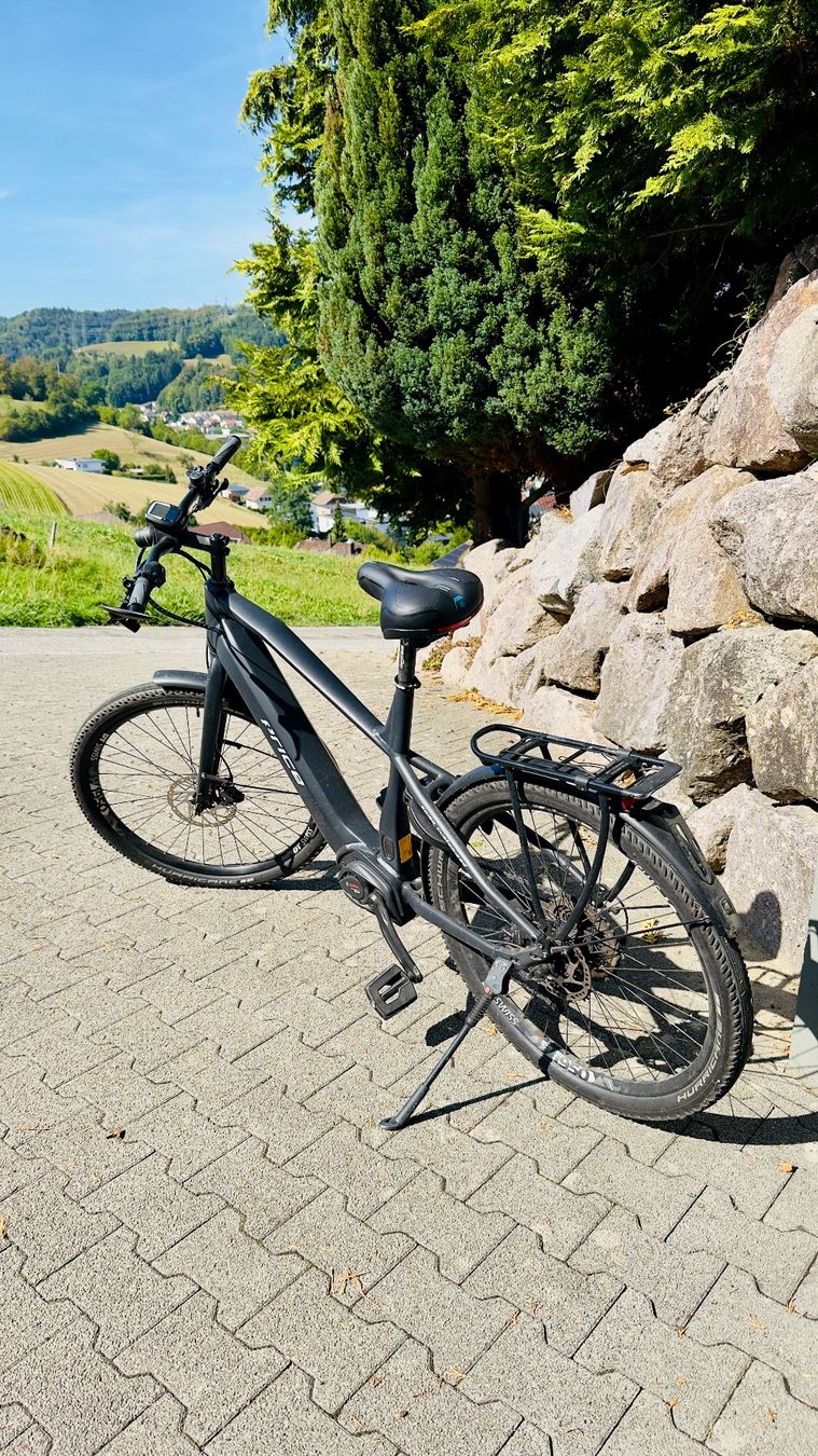 Price Biciclette: Velo Price E-Speed 45Kmh Bosch – Usato da uerkheim venduto da smundy