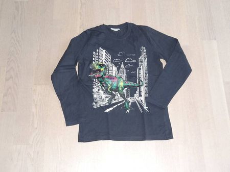Longsleeve Langarm Shirt Gr. 152 158 Dino