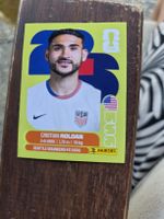 Panini USA 11 Cristian Roldan