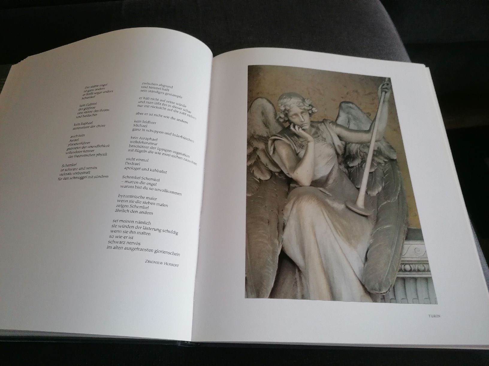Libri: Aus Licht und Schatten Engel Bilder von Isolde Ohlbaum  – Usato da Brittnau venduto da Elefant7 2